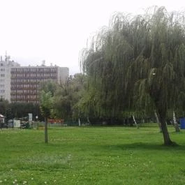 Hotel Magistern Konferencia & Wellness, Siófok - Környék