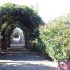 Hotel Pagony Nyíregyháza - Környék