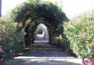 Hotel Pagony Nyíregyháza