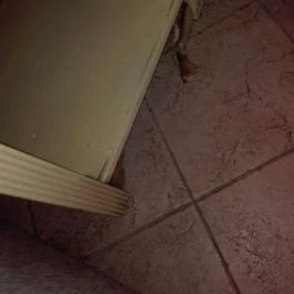 Tornácos Panzió, Balatonberény - Egyéb