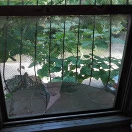 Tornácos Panzió, Balatonberény - Egyéb