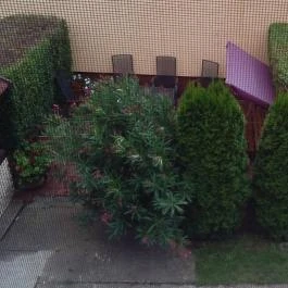 Apartman Ilona II., Hajdúszoboszló - Medence/kert