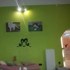 Cat Café - Damjanich utca Budapest - Belső