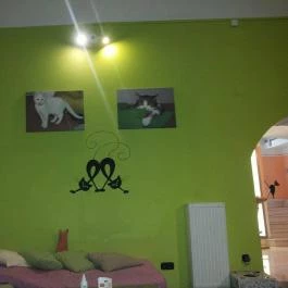 Cat Café - Damjanich utca, Budapest - Belső