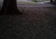 Hársfa Nyaraló Alsóörs