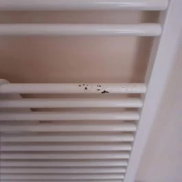 Hotel Medián Hajdúnánás - Egyéb