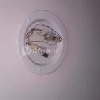 Jázmin Panzió Gyula - Egyéb