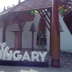 Marcsi Apartmanok Hajdúszoboszló - Környék