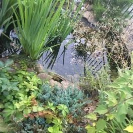 Barátság Gyógy és Wellness Szálloda, Hajdúszoboszló - Környék