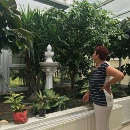 Barátság Gyógy és Wellness Szálloda, Hajdúszoboszló - Környék