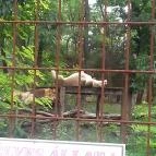 Magán Zoo Felsőlajos - 