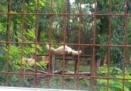 Magán Zoo Felsőlajos