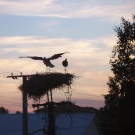 Royal Hotel Cserkeszőlő - Környék