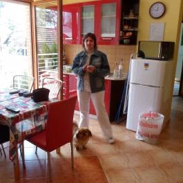 Dorina Wellness Apartman Siófok - Belső