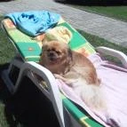 Takács Apartmanház Hévíz - Külső kép