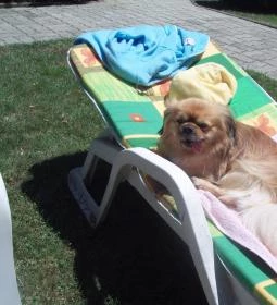 Takács Apartmanház 