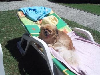 Takács Apartmanház Hévíz