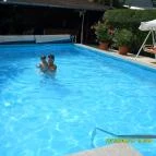 Janika Panzió Vonyarcvashegy - Medence/kert