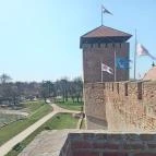 Gyulai Várfürdő Gyula - Egyéb