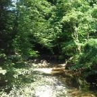 Hotel Szarvaskút Zirc - Környék