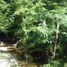 Hotel Szarvaskút, Zirc - Környék