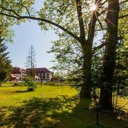 Erzsébet Park Hotel, Parádfürdő - Medence/kert