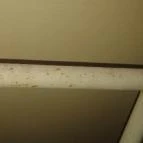 Áldos Wellness Panzió Farád - Egyéb