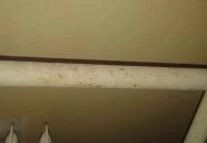 Áldos Wellness Panzió Farád