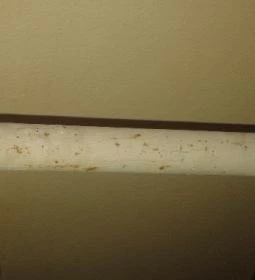 Áldos Wellness Panzió 