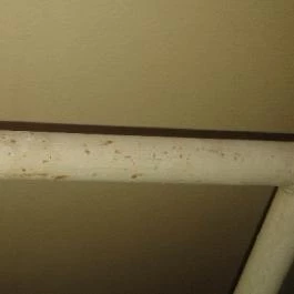 Áldos Wellness Panzió Farád - Egyéb