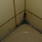 Áldos Wellness Panzió Farád - Egyéb