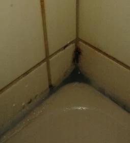 Áldos Wellness Panzió 