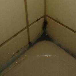 Áldos Wellness Panzió Farád - Egyéb