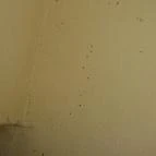 Áldos Wellness Panzió Farád - Belső