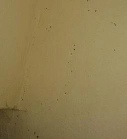 Áldos Wellness Panzió 