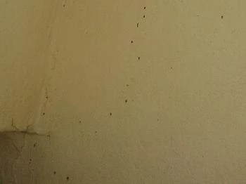 Áldos Wellness Panzió Farád