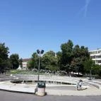 Palatinus Strandfürdő Budapest - Egyéb