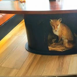 4 Évszak Palóc Bistorant, Mátrafüred - Egyéb