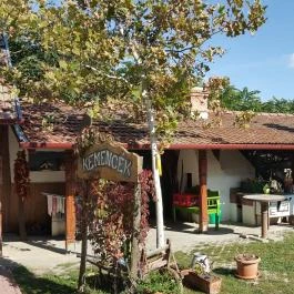 Aranyosidomb Udvarház Poroszló - Külső kép