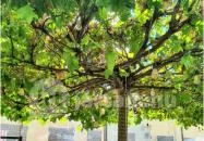 Beer & Wurst Debrecen