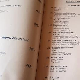 Boglárka Panzió-Étterem ás Apartmanházak Mezőkövesd - Étlap/itallap