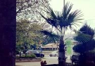 Dominus Étterem Debrecen