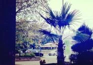 Dominus Étterem Debrecen