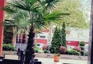 Dominus Étterem Debrecen