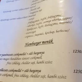 Expressz Pizza Spagetti Ház & Étterem, Debrecen - Étlap/itallap