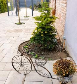 Free Gluténmentes Étterem