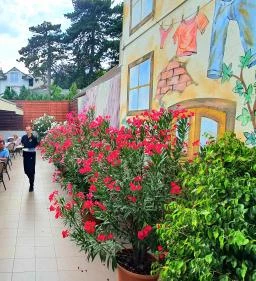 Full House Étterem-Pizzéria