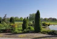 Garden Étterem Debrecen