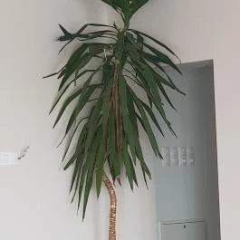 Garden Étterem Debrecen - Belső