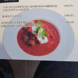 Garden Étterem Debrecen - Étlap/itallap